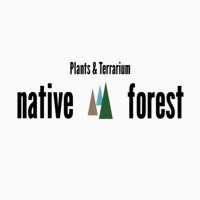 native forest【Plants＆Terrarium】(@nativeforest1) 's Twitter Profile Photo