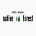 native forest【Plants＆Terrarium】 (@nativeforest1) Twitter profile photo