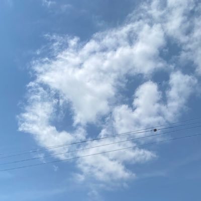 ぼんじり(鶏)さんのプロフィール画像
