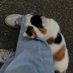 26 -Aug (@_m511_m) Twitter profile photo 26 -Aug (@_m511_m) Twitter profile photo