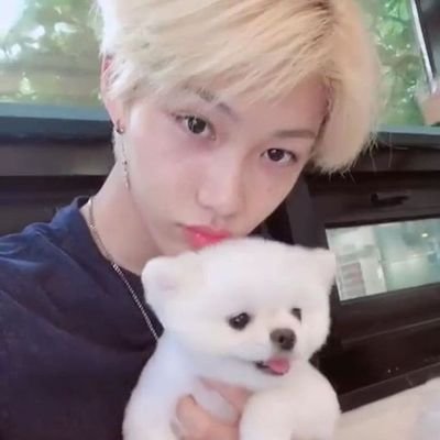 ygbk0325's profile picture. most sane felix stan