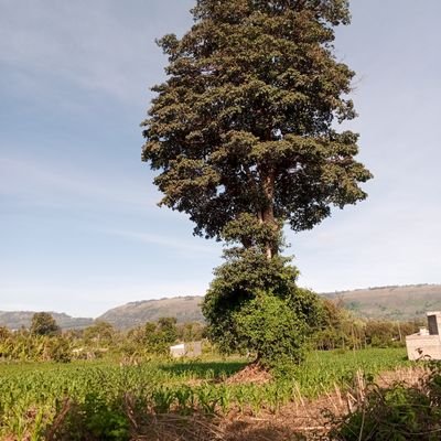 njorogekamau_ke's profile picture. The Freethinker.