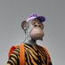 macmacmp♥️ Memecoin (@macmacmp) Twitter profile photo macmacmp♥️ Memecoin (@macmacmp) Twitter profile photo
