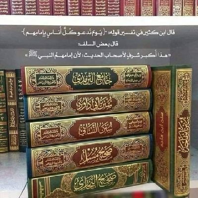 دين النبي محمدً أخبار،،

نعم المطية للفتى الآثار.

لاترغبن عن الحديث وآله،،

فالرأي ليلٌ والحديث نهار.