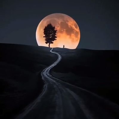 anbusathi35878's profile picture. philosophy