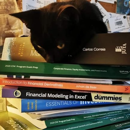 Assoc Prof, Finance (PhD). Three fur-kids & a flerken. Drinker of copious amounts of tea. Would rather be reading. Her/she. 🌈. ⚛️. 🌍. @KayMac@econtwitter.net