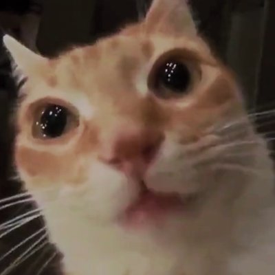 WORLDWlDEWEBs's profile picture. I am a real human being that likes to eat, sleep, breathe and go to the toilet.