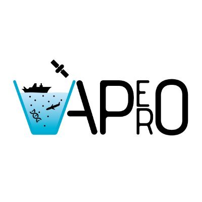 A multidisciplinary project on the biological carbon pump using a mechanistic approach - with a focus on the twilight zone
🚢 x 2
📍 NE Atlantic Ocean
📅 2023