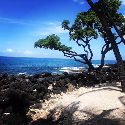 therealjt522's profile picture. 