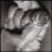 lavejat's profile image