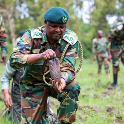 Official Twitter account for the CCF, Kenya Forest Service
#TreesForBetterLives