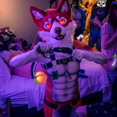 33 he/him • #NSFW photographer • #murrsuit, #bdsm, undies, leather, gear, spanking • Bi/vers-top; gruff dom dad or punished brat cuck • 💍@FlukeTheBadWolf