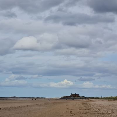 MagicPuddingDi's profile picture. 