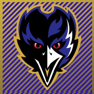 Baltimore Ravens fan | Youtube @Flockingravens