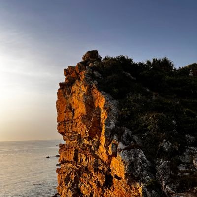 Xilinx232715923's profile picture. 