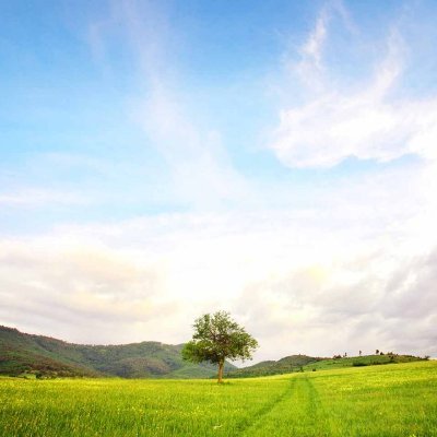 srcnyildrim's profile picture. 