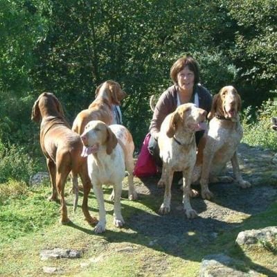 Proud Socialist. Owned by 3 rescue dogs. ❤️ wildlife. ❤️ Bracco Italiano. indyref2👍 former scotgov  comms - justice. Dog training/ Behaviour quals.