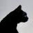 _summertimecat