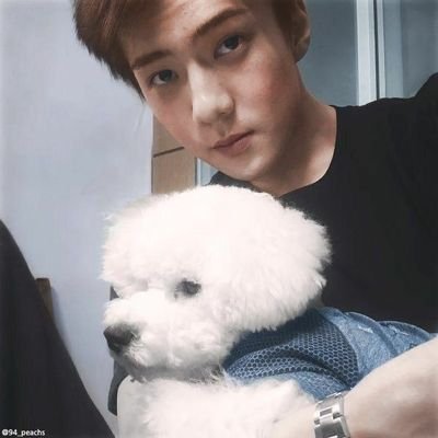 yuribrazin's profile picture. 🏳️‍🌈🏳️‍⚧️
(𝐄𝐥𝐞/𝐃𝐞𝐥𝐞)