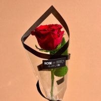 🌺 (@n_lllo7) 's Twitter Profile