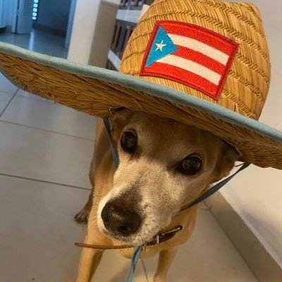 DIGAMARA1's profile picture. Ayyyy dios