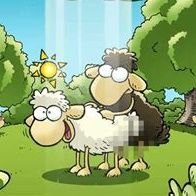 #Bitcoin #Crypto #NFTs 🐑🐏