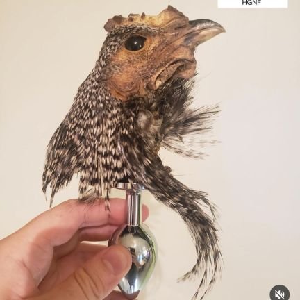 flibbertigibb2's profile picture. So it is.