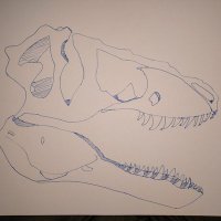 Audioscript (@audioscript3) 's Twitter Profile