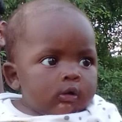 Josphat64's profile picture. Software engineering and art student