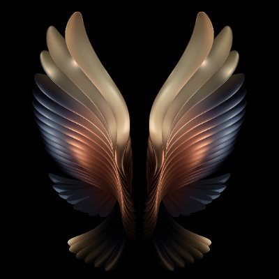 DjlRocky's profile picture. 小众视频