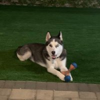 Michael (@805michaelr) 's Twitter Profile