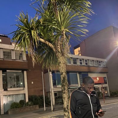 Nemsippp's profile picture. 