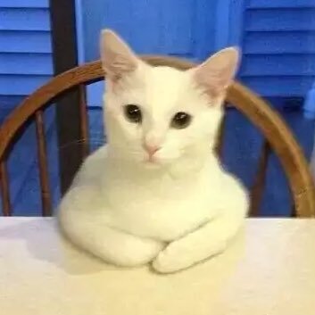 h0neyattackk's profile picture. yuhhh