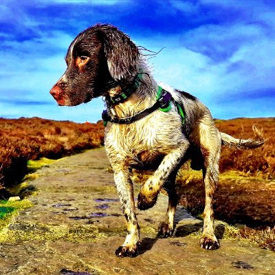 Mr_D_Mills's profile picture. 