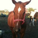 terryhead - @TerryHead95 - Twitter