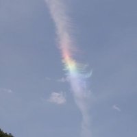 うっち～ (@lotus36rd500) 's Twitter Profile