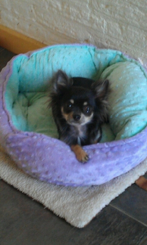 Marionvt's profile picture. 