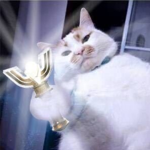 MioDesu_199789's profile picture. 