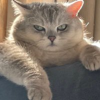 anabirkner (@anabirkner) 's Twitter Profile Photo anabirkner (@anabirkner) 's Twitter Profile Photo