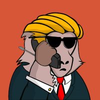 Degen (@degenstogether) 's Twitter Profile Photo Degen (@degenstogether) 's Twitter Profile Photo