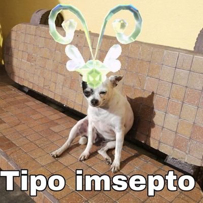 tikolinidc's profile picture. Tikolini Time 🤌🏻