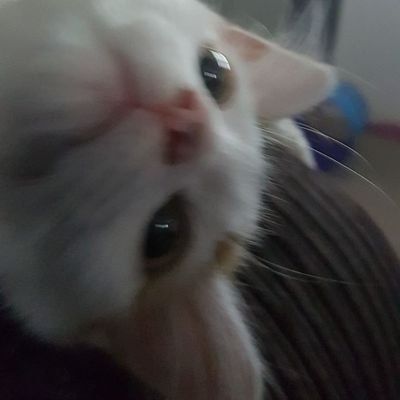 pondさんのプロフィール画像