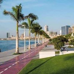 AraoCamara's profile picture. 