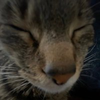 , (@vicsnotsosmart) 's Twitter Profile