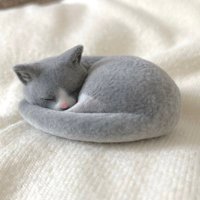 ほうじ茶 (@_nanail) 's Twitter Profile Photo