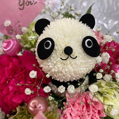 ❤️29LOVE❣️R👦🏻🚅♡Ｙ👧🏻🎀♡S🧒🏻🎀3人の孫激愛🥰 🐼パンダ大好き🐼💞つんく♂さん🫶💗シャ乱Ｑ❤️REBECCA®️❤️jealkb🖤AcidBlackCherry🍒