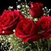 أمجاد (@jooj222t) Twitter profile photo أمجاد (@jooj222t) Twitter profile photo