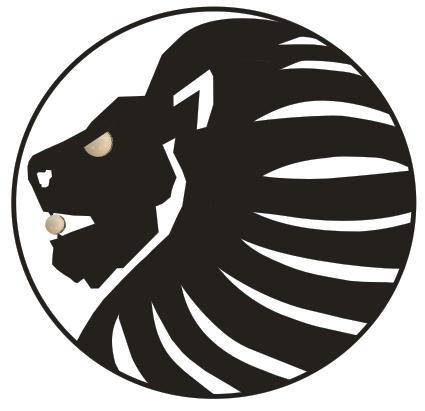 Tienda de Airsoft ubicada en Santiago de Chile, proveedores oficiales de BB King. El Airsoft corre por nuestras venas.