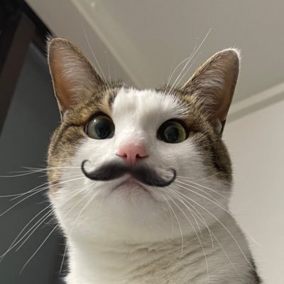 p_a_n_a's profile picture. 