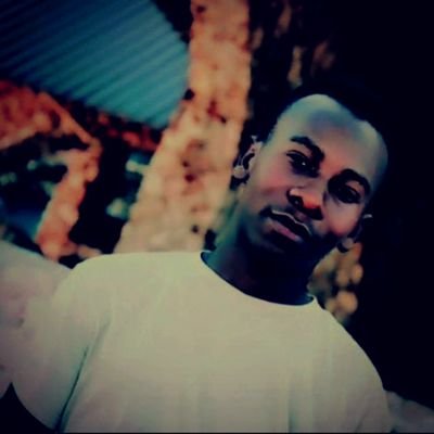 shedyshayo's profile picture. Ad Astra per aspera